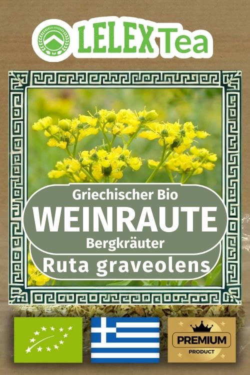 Weinraute, Gartenraute