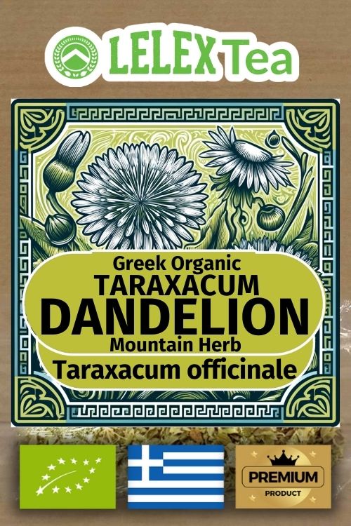Taraxacum officinale Dandelion