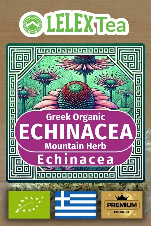Echinacea Coneflower
