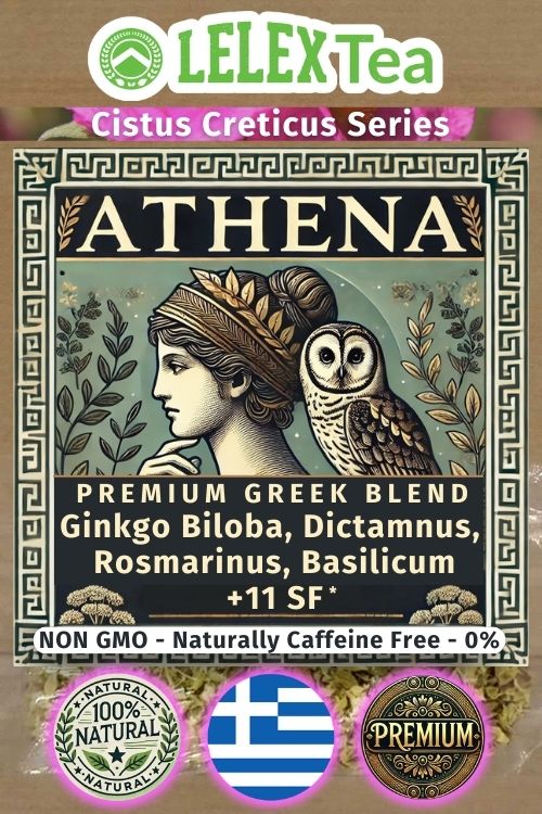 Gedächtnistee Athena | Kräutermischung für gutes Gedächtnis und Konzentration - Lelex Tea