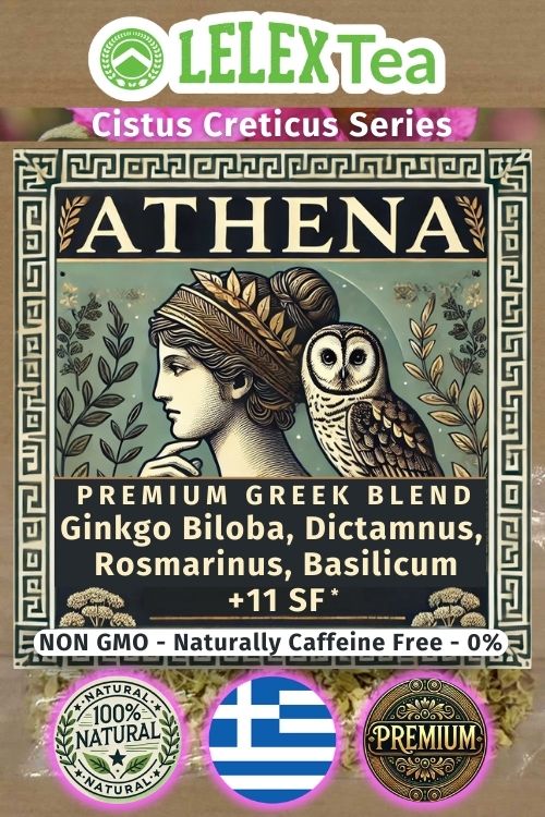 Memory Tea Athena | Herbal blend for Good Memory and Focus - Lelex Tea