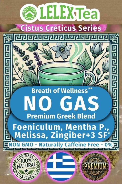 No Gas Natural herbal tea for Meteorism and Tympany LelexTea