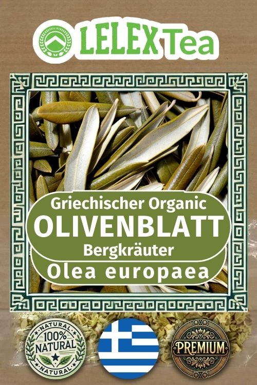 Blätter des Olivenbaums Organisch