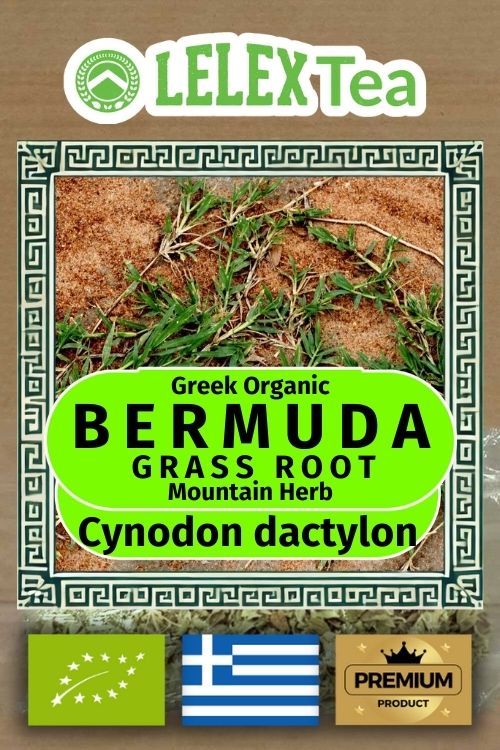 Organic Bermuda Grass Tea: Refreshing Wellness from Greek Mountains LelexTea