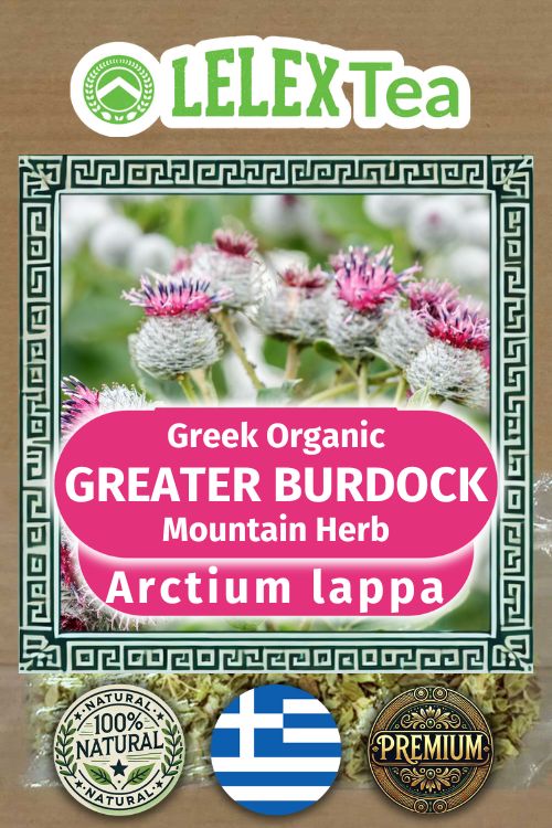 Greater Burdock