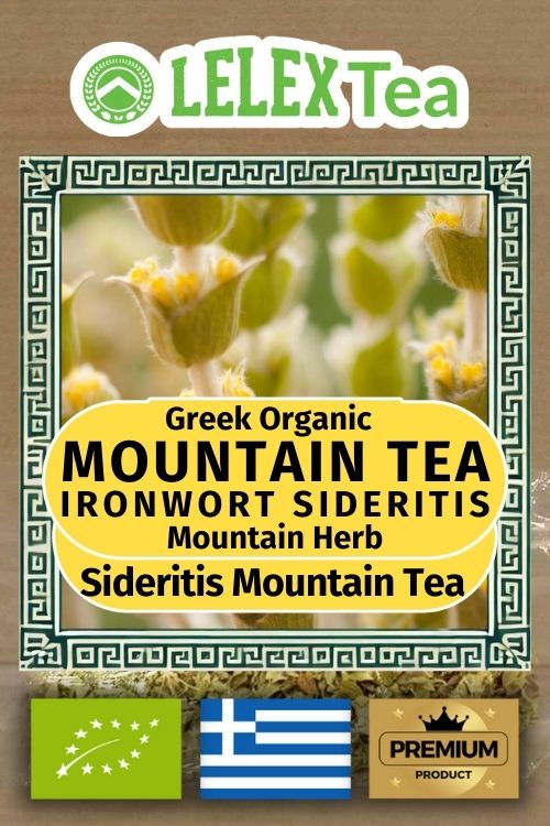 Greek mountain tea Sideritis