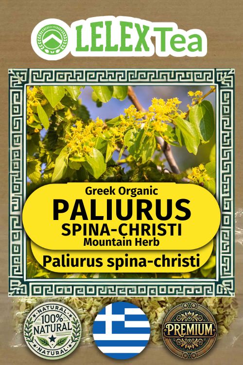 Paliurus Spina Christi