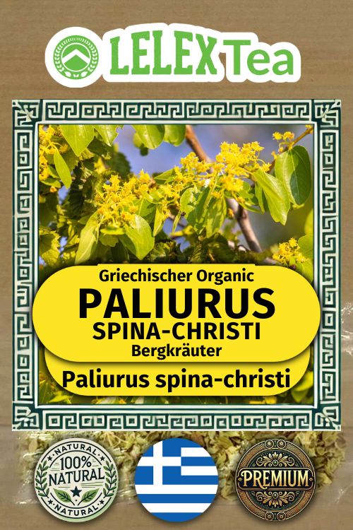 Paliurus Spina Christi