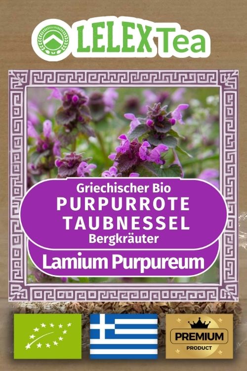 Premium Wildgeernteter Lamium Purpureum, Taubnessel, Erzengel – Natürliche, Koffeinfreie Kräuterheilung