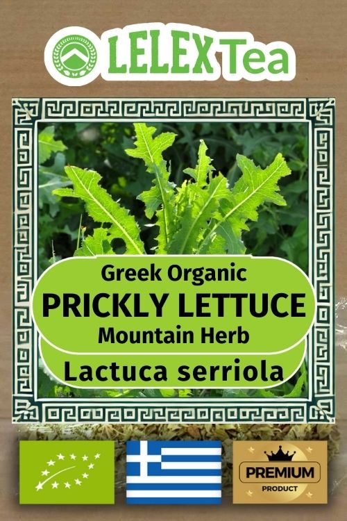Prickly Lettuce