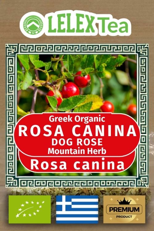 Rosa canina dog rose