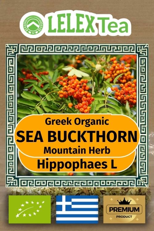 Sea buckthorn Hippophaes L
