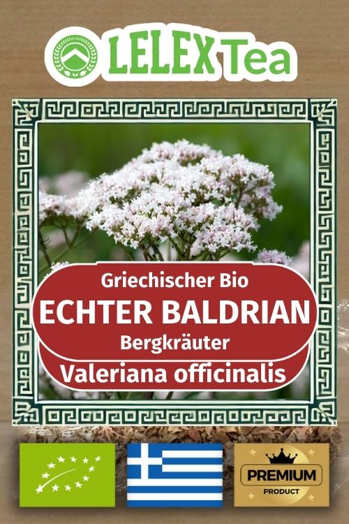 Echter Baldrian