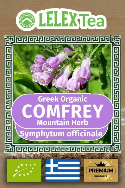 Symphytum comfrey