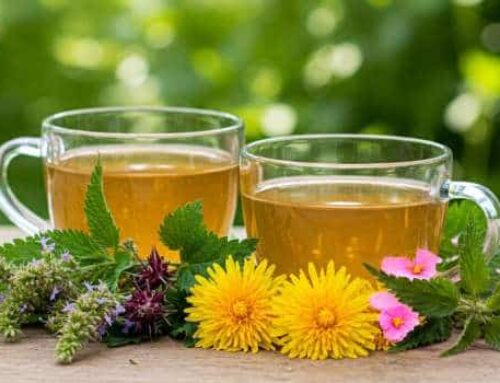 Detox & Cleansing Teas  Purify Your Body Naturally