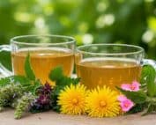 PREMIUM GRIECHISCHES BERGKRAUT Detox Tee eine natürliche Kräutermischung für reinigende und Entgiftung LelexTea