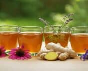 PREMIUM GRIECHISCHES BERGKRAUT Immunstärkende Tees LelexTea