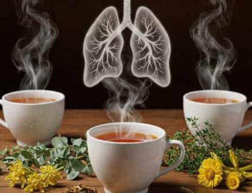 Respiratory & Lung Health Teas ️ Breathe Easy with Natural Herbal Support