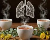 Tees für Atemwege und Lungengesundheit LelexTea