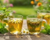 PREMIUM GRIECHISCHES BERGKRAUT Tees für die Verdauungsgesundheit LelexTea