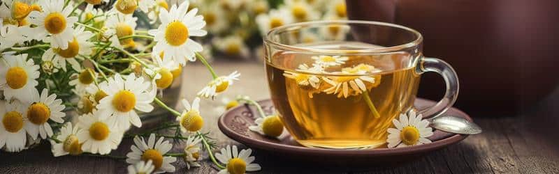 Chamomile Tea Benefits: The Science-Backed Guide