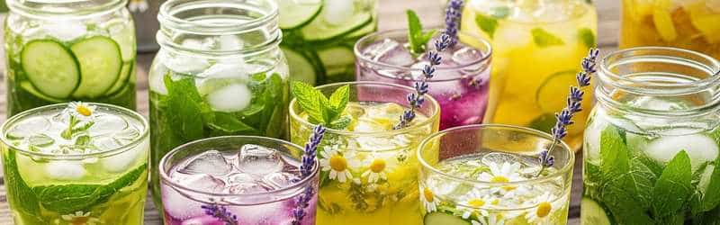 Die besten Kräuter für erfrischenden Sommertee LelexTea