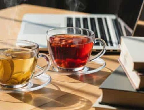 Herbs &Tips for Memory, Clarity & Concentration – Restart Naturally!!