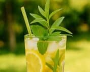 Best Herbs for Refreshing Summer Tea